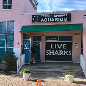 Aquarium Entrance