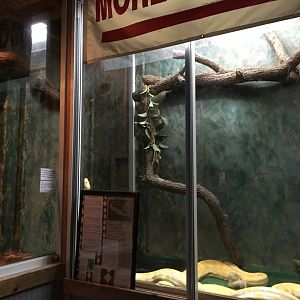 Burmese Python Terrariums