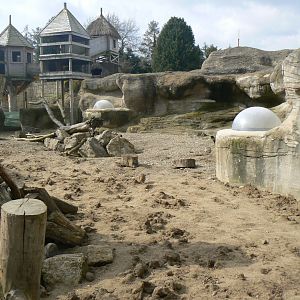 Meerkat Enclosure and Play Area  - 21 March 2018