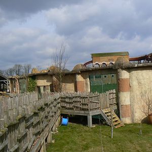 Lion Viewing Area - 21 March 2018