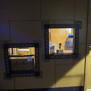 Curious Creatures Construction Update