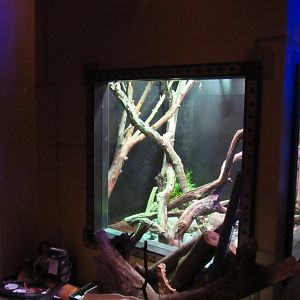 Curious Creatures Construction Update