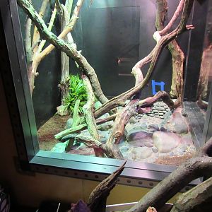 Curious Creatures Construction Update