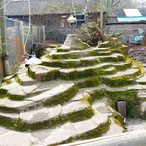 Demolition, March 2018