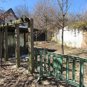 Legends of the Wild Deer Exhibit Renovation