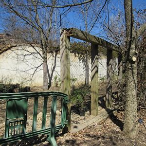 Legends of the Wild Deer Exhibit Renovation