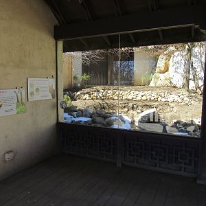 Legends of the Wild Deer Exhibit Renovation