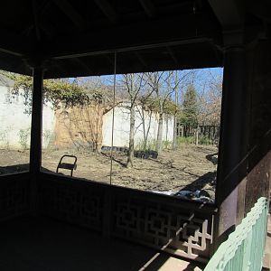 Legends of the Wild Deer Exhibit Renovation