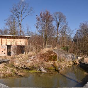 European pond turtle enclosure