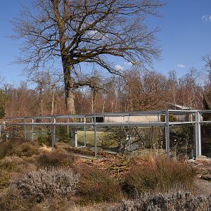 Outdoor reptile section