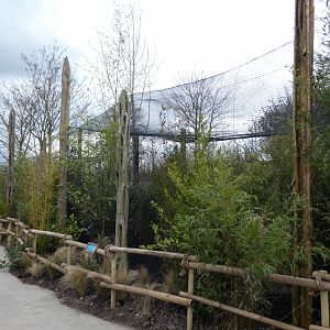 View of new Prevost's Squirrel enclosure in Islands