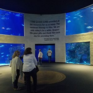 Wonders of Wildlife Museum and Aquarium