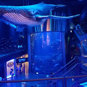 Wonders of Wildlife Museum and Aquarium