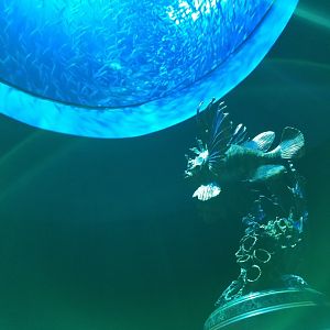 Wonders of Wildlife Museum and Aquarium