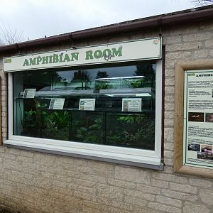 Amphibian Room