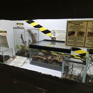 Venom section in invert house