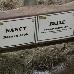 Rhino ID signage