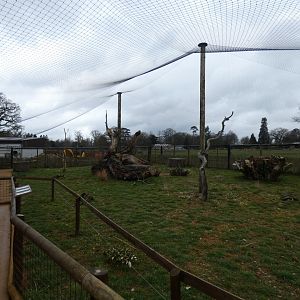 Aviary in Little Africa