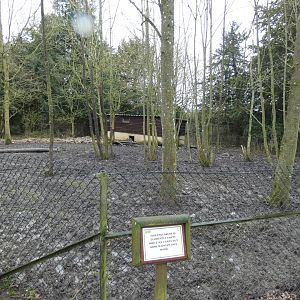Empty Warty Pig enclosure