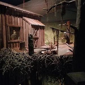 Wonders of Wildlife Museum and Aquarium