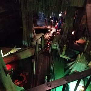 Wonders of Wildlife Museum and Aquarium