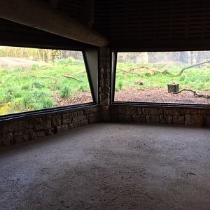 African Lion Exhibit - Viewing Windows