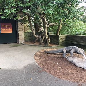 Komodo Dragon Exhibit - Entrance Area