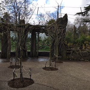 Malayan Tiger Exhibit