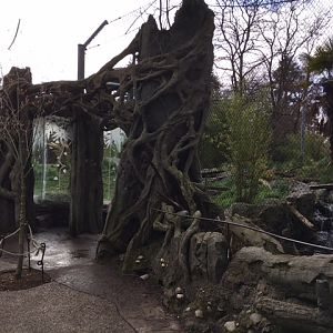 Malayan Tiger Exhibit