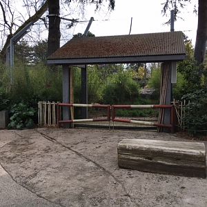 Malayan Tiger Exhibit - Training Wall