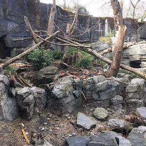 Sloth Bear Exhibit