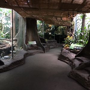 Rainforest House