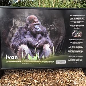 Ivan the Gorilla Sign - New in 2016