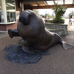 E.T. the Walrus Statue - New in 2017