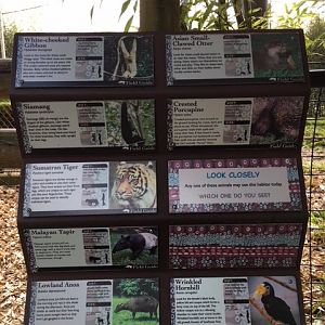 Asian Forest Sanctuary - which of these 8 species will be in each enclosure today?