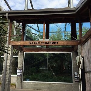 Cats of the Canopy - Clouded Leopard Exhibit (very tall!)