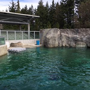 Rocky Shores - Seating Area (New in 2017)