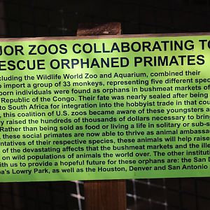 Primate Rescue Signage