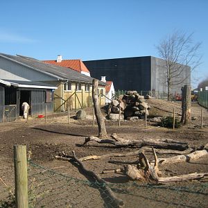Dyreparken NBV - Donkey exhibits