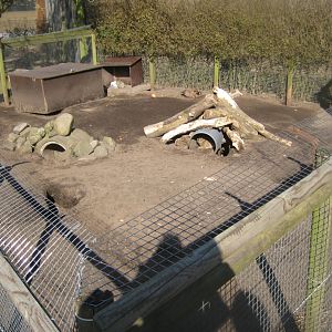 Dyreparken NBV - Rabbit exhibit
