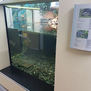 Turtle-enclosure and signs