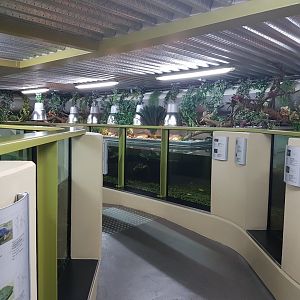 View enclosures ground-level