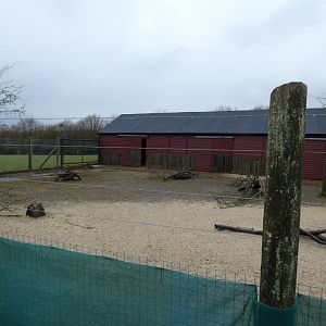 Dorcas Gazelle and Kirk's Dik-Dik Enclosure