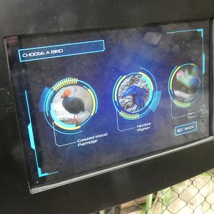 Signage style in new Tropical House