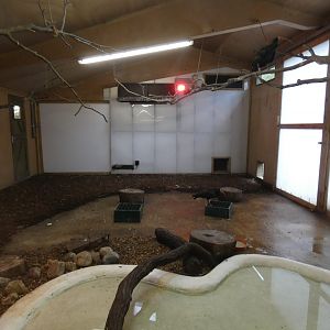 Indoor bird enclosure in 'Fur, Feathers & Claws'