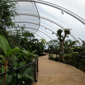 View inside new Tropical House