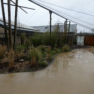 View of 'Lemur Loop'