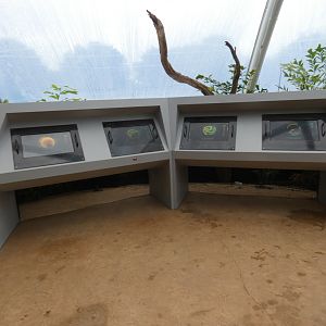 Educational computers in new Tropical House