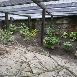 Former Fossa Enclosure
