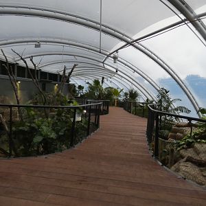 View of Upper viewing in new Tropical House